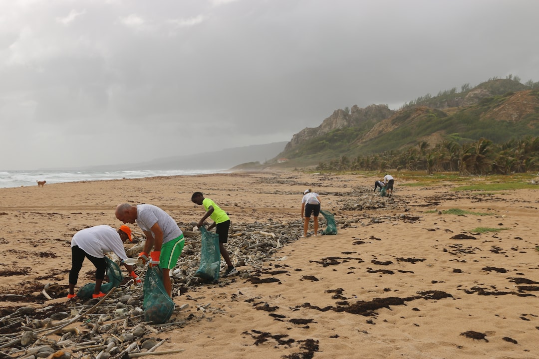 Services-03 A beach cleanup that I helped organize in Barbados. We collected hundreds of plastic water bottles, along with a variety of other single use plastics that washed in with the tide. Single use plastics threaten the health of our oceans, and we can all do something to help prevent it. Follow on Instagram @wildlife_by_yuri, and find more free plastic pollution photos at: https://www.wildlifebyyuri.com/free-ocean-photography